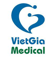 logo-vietgia